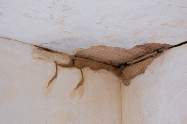 Best Carpet water damage restoration  in Hinesville, GA