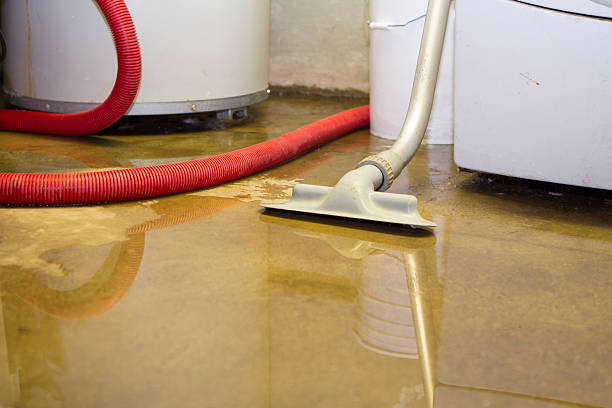 Best Fire Damage Restoration  in Hinesville, GA