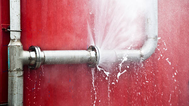 Best Flooded house restoration  in Hinesville, GA